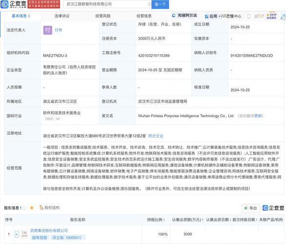 付有科技 以人工智能与物联网双轮驱动，构建智能应用新生态